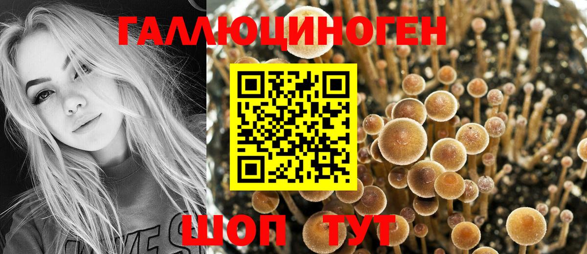 Псилоцибиновые грибы прущие грибы  Вход с VPN  Псилоцибиновые грибы MAGIC MUSHROOMS  Реутов 